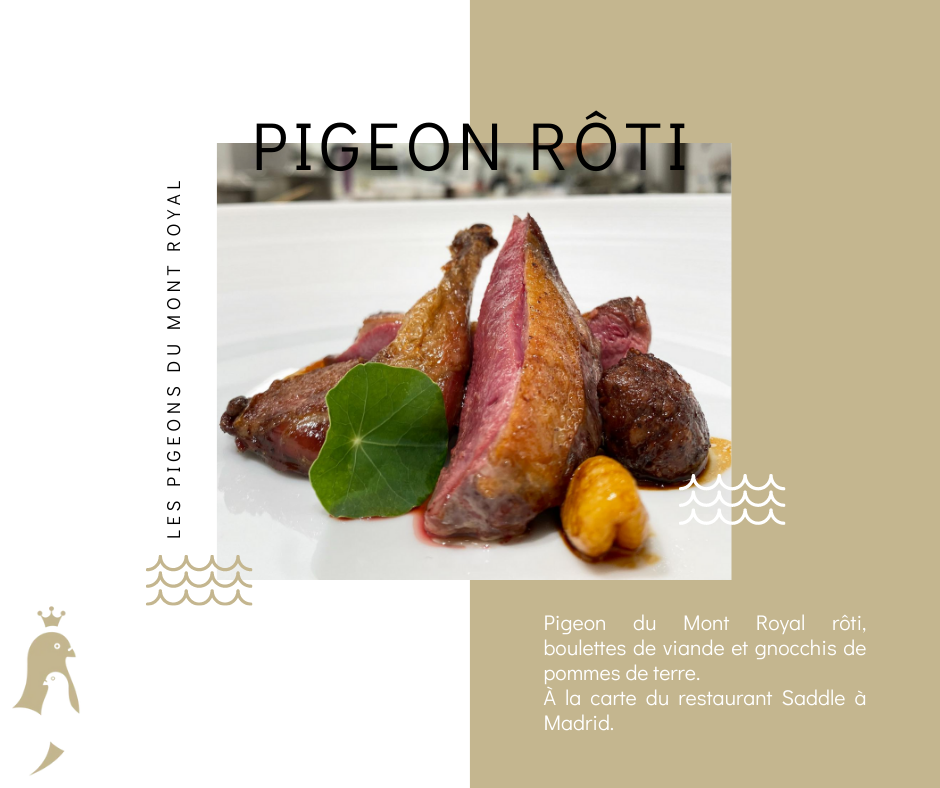 les-pigeons-du-mont-royal-pigeon-roti-©InfinityGraphic